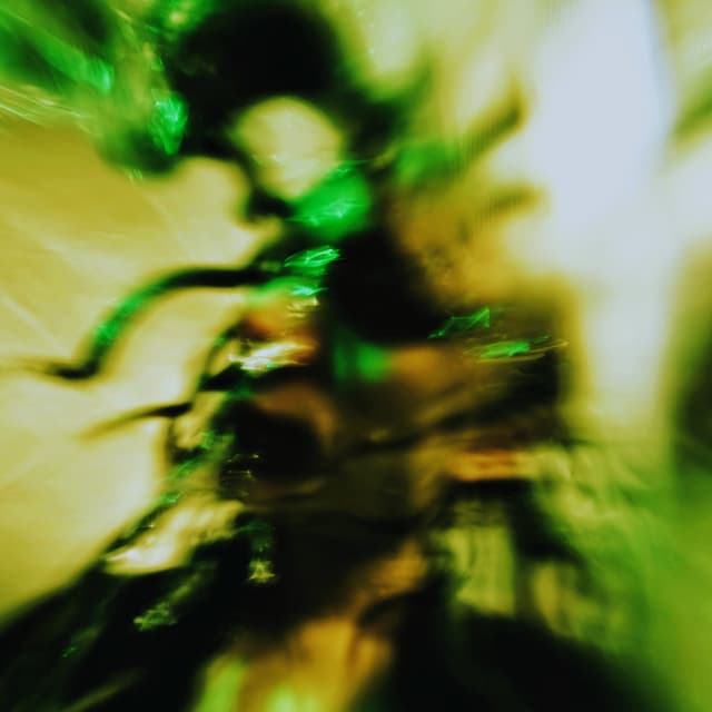 PANIQUE — DANCE