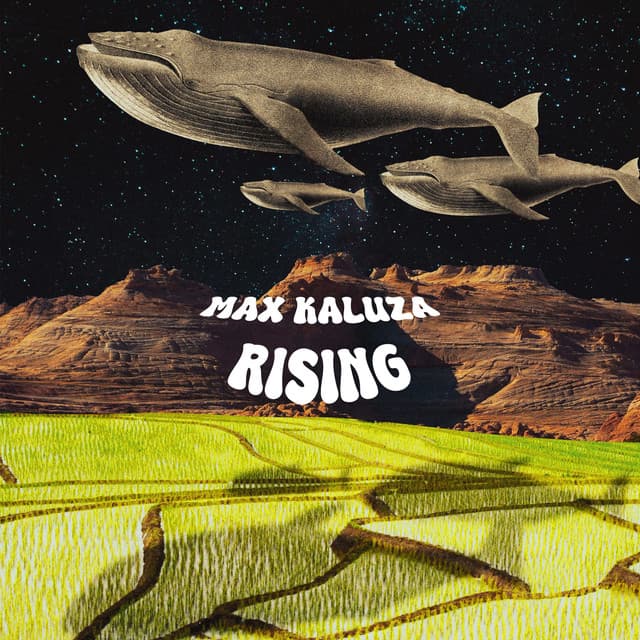 Max Kaluza — Rising