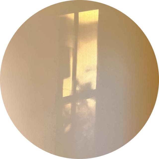 Bootie Grove — What About Next